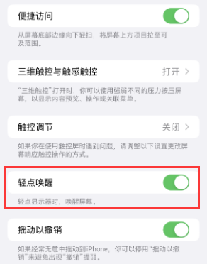 普格苹果授权维修站分享iPhone轻点无法唤醒怎么办 