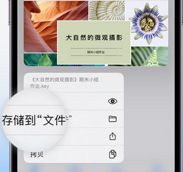 普格apple维修中心分享iPhone文件应用中存储和找到下载文件