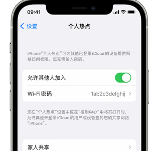 普格apple服务站点分享iPhone上个人热点丢失了怎么办 