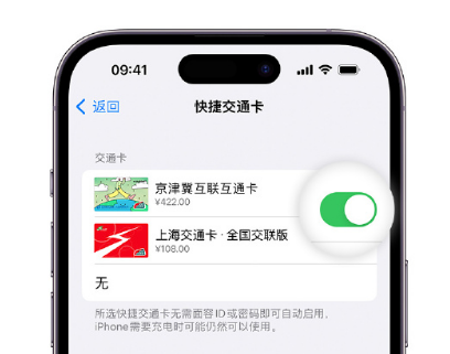 普格apple维修点分享iPhone上更换Apple Pay快捷交通卡手绘卡面 