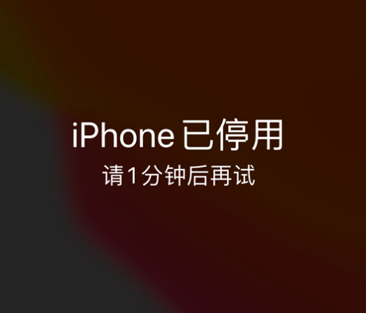 普格苹果手机维修分享:iPhone 显示“不可用”或“已停用”怎么办？还能保留数据吗？ 