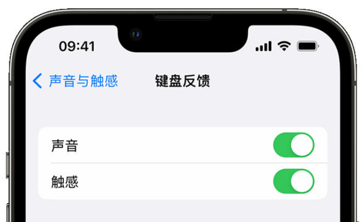 普格苹果手机维修分享iPhone 14触感键盘使用方法 