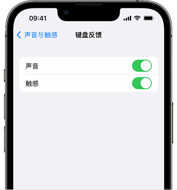 普格苹果14维修店分享如何在 iPhone 14 机型中使用触感键盘 