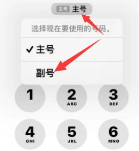 普格苹果14维修店分享iPhone 14 Pro Max使用副卡打电话的方法 