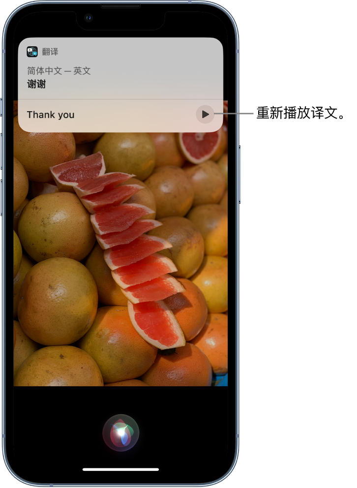 普格苹果14维修分享 iPhone 14 机型中使用 Siri：了解 Siri 能帮你做什么 