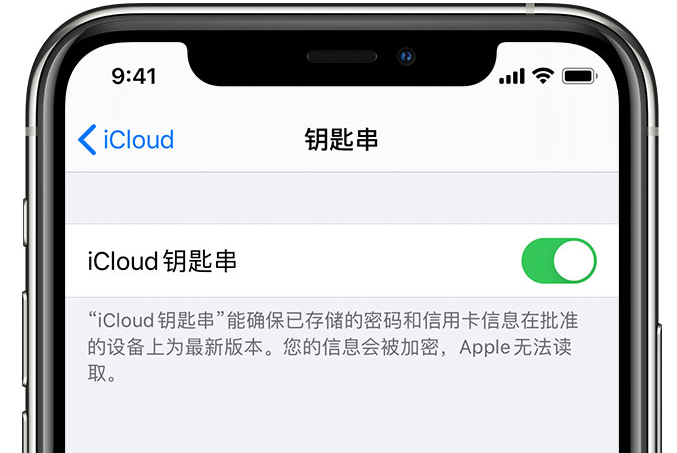 普格苹果手机维修分享在 iPhone 上开启 iCloud 钥匙串之后会储存哪些信息 